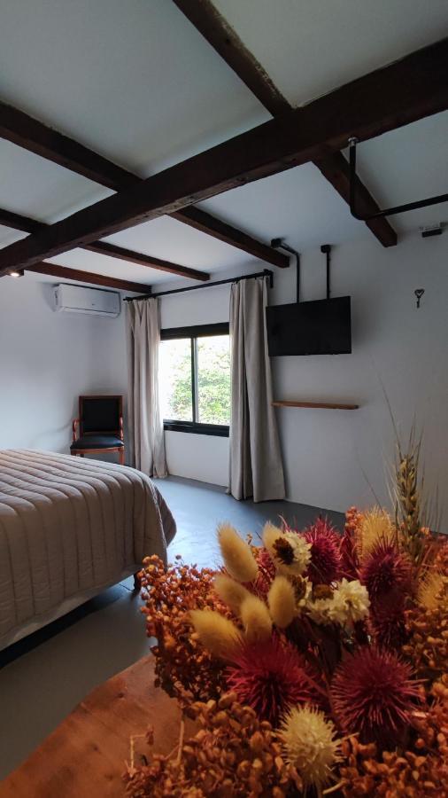 La Botica De 1852 Hotel Chascomus Ngoại thất bức ảnh